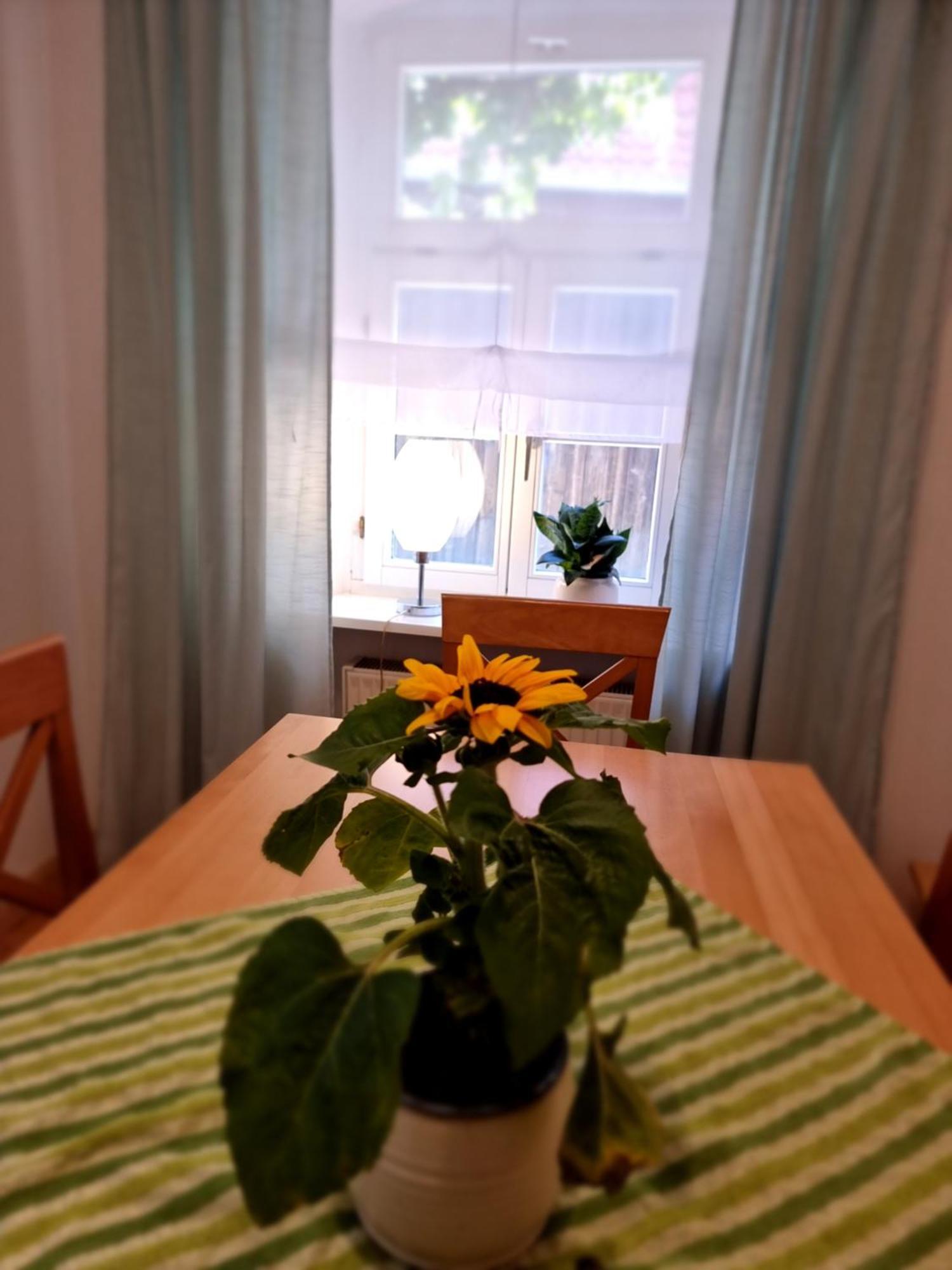 Ferienwohnung Boehm Segnitz Zimmer foto